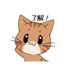 【冬】ふわもちネコさん③ 茶トラさん（個別スタンプ：10）