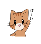 【冬】ふわもちネコさん③ 茶トラさん（個別スタンプ：11）