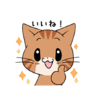 【冬】ふわもちネコさん③ 茶トラさん（個別スタンプ：12）