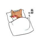 【冬】ふわもちネコさん③ 茶トラさん（個別スタンプ：14）