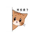 【冬】ふわもちネコさん③ 茶トラさん（個別スタンプ：15）