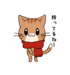 【冬】ふわもちネコさん③ 茶トラさん（個別スタンプ：20）