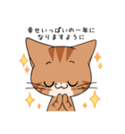 【冬】ふわもちネコさん③ 茶トラさん（個別スタンプ：36）