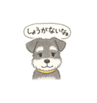 ミニシュナの幼稚園児スタンプ（個別スタンプ：17）