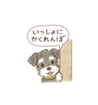 ミニシュナの幼稚園児スタンプ（個別スタンプ：22）