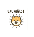 シュールわんこ日和（個別スタンプ：13）