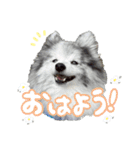 ベルくんスタンプだよ（個別スタンプ：1）