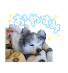 ベルくんスタンプだよ（個別スタンプ：2）