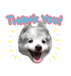 ベルくんスタンプだよ（個別スタンプ：4）