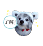 ベルくんスタンプだよ（個別スタンプ：5）