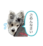 ベルくんスタンプだよ（個別スタンプ：6）