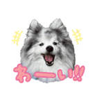 ベルくんスタンプだよ（個別スタンプ：7）