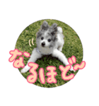 ベルくんスタンプだよ（個別スタンプ：11）