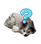 ベルくんスタンプだよ（個別スタンプ：13）