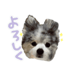 ベルくんスタンプだよ（個別スタンプ：17）