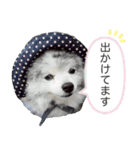 ベルくんスタンプだよ（個別スタンプ：19）