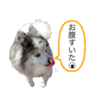 ベルくんスタンプだよ（個別スタンプ：20）