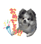 ベルくんスタンプだよ（個別スタンプ：27）