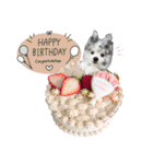 ベルくんスタンプだよ（個別スタンプ：28）