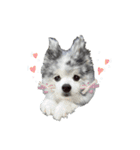 ベルくんスタンプだよ（個別スタンプ：29）