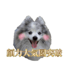 ベルくんスタンプだよ（個別スタンプ：31）