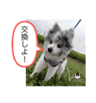 ベルくんスタンプだよ（個別スタンプ：32）