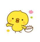 ひよこのピッピ_ たのしい日々（個別スタンプ：12）