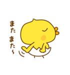 ひよこのピッピ_ たのしい日々（個別スタンプ：38）