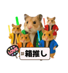 推し活ハムさん(箱推し)（個別スタンプ：1）