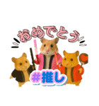 推し活ハムさん(箱推し)（個別スタンプ：2）