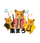 推し活ハムさん(箱推し)（個別スタンプ：4）