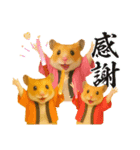 推し活ハムさん(箱推し)（個別スタンプ：8）