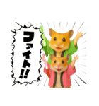 推し活ハムさん(箱推し)（個別スタンプ：12）