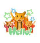 推し活ハムさん(箱推し)（個別スタンプ：13）