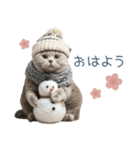 毎日使える冬の猫【かわいい・連絡】（個別スタンプ：1）