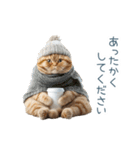 毎日使える冬の猫【かわいい・連絡】（個別スタンプ：2）