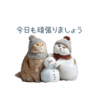 毎日使える冬の猫【かわいい・連絡】（個別スタンプ：4）