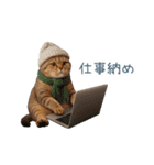 毎日使える冬の猫【かわいい・連絡】（個別スタンプ：8）