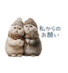 毎日使える冬の猫【かわいい・連絡】（個別スタンプ：10）