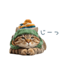 毎日使える冬の猫【かわいい・連絡】（個別スタンプ：13）