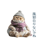 毎日使える冬の猫【かわいい・連絡】（個別スタンプ：14）
