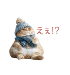 毎日使える冬の猫【かわいい・連絡】（個別スタンプ：16）