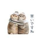 毎日使える冬の猫【かわいい・連絡】（個別スタンプ：17）