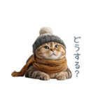 毎日使える冬の猫【かわいい・連絡】（個別スタンプ：23）