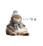 毎日使える冬の猫【かわいい・連絡】（個別スタンプ：24）