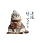 毎日使える冬の猫【かわいい・連絡】（個別スタンプ：25）