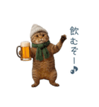 毎日使える冬の猫【かわいい・連絡】（個別スタンプ：27）