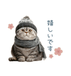 毎日使える冬の猫【かわいい・連絡】（個別スタンプ：28）