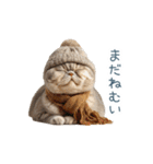毎日使える冬の猫【かわいい・連絡】（個別スタンプ：30）