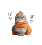 毎日使える冬の猫【かわいい・連絡】（個別スタンプ：31）